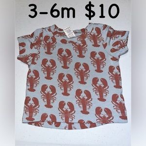 EUC Kate Quinn Short Sleeve Essential Boxy Tee I Lobster